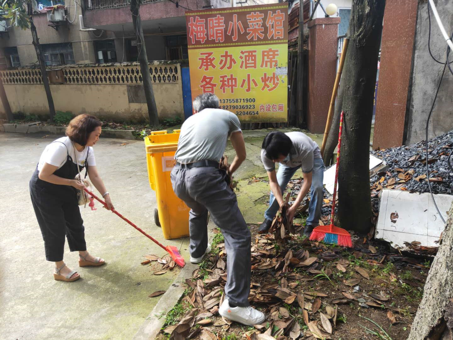 35图库大全图库最快报